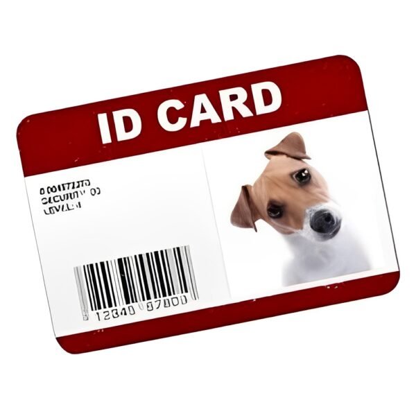 13.56MHz RFID PVC Smart Cards – Mini NFC Access Control Cards for Identification & Security - Image 7