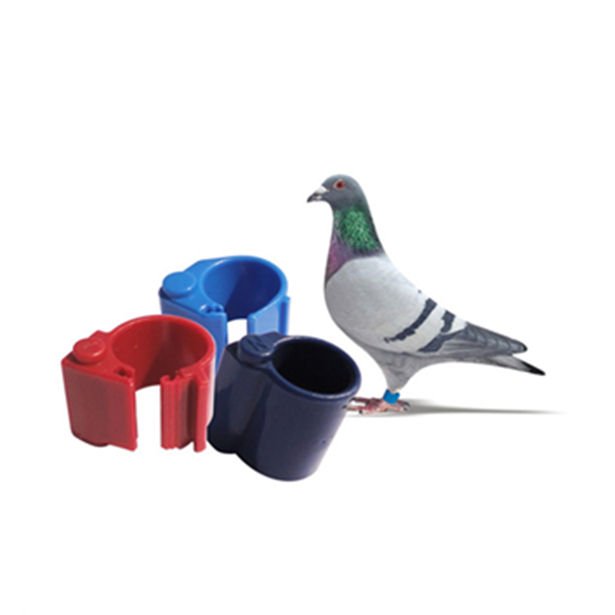 RFID Bird Foot Ring Tags – LF & HF Smart Tracking Rings for Pigeons, Chickens, Ducks & Poultry Management