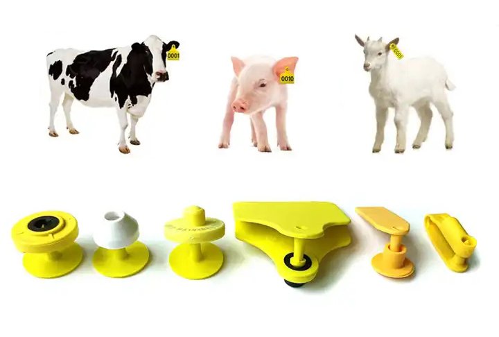 Top-Quality UHF Livestock RFID Ear Tags – Long-Range TPU Animal Identification Tags for Cattle, Sheep, and Pigs